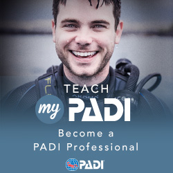 PADI Scuba Diving Instrutor Course in Eilat