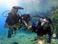 scuba diving destinations_дайвинг направления_יעדי צלילה