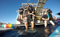 Diving – a popular water sport on the seacoast of Eilat