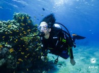 diving for beginners in eilat red sea