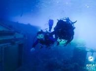 intro dive in red sea eilat israel