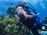 diving red sea eilat israel