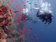 diving Blue Hole.jpg