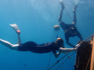 scuba diving eilat.jpg