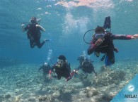 дайвинг курсы для начинающих в Эйлате_diving_courses_for_behinners_in_Eilat.jpgдайвинг курсы для начинающих в Эйлате_diving_courses_for_behinners_in_Eilat.jpg